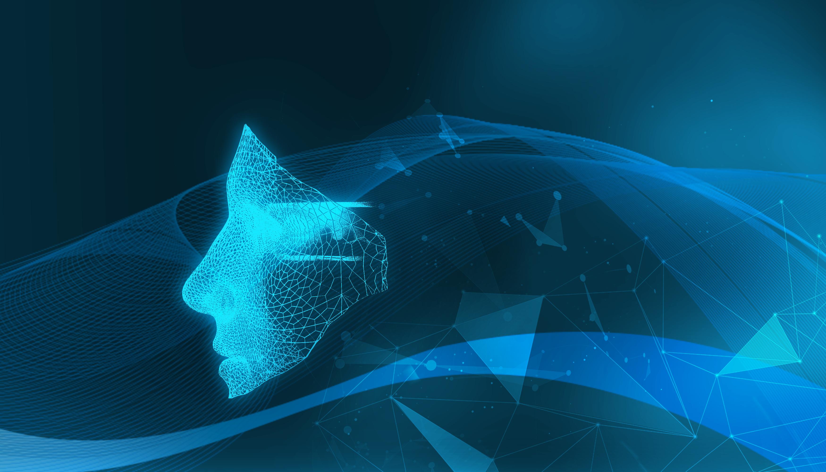 《梅州市高价值发明专利提升专项行动方案》印发